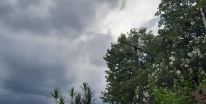 El clima en Tucumán