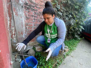 Cronograma de operativos ambientales para prevenir chikungunya y dengue, del 8 al 12 de junio