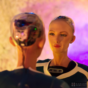 Robots humanoides personalizables conquistan a los consumidores y baten récords de ventas