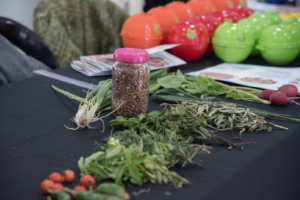 Promueven hábitos de alimentación sostenible entre las familias de Centros de Desarrollo Infantil municipales
