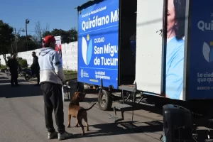 Dónde se ofrecerá el servicio de esterilización para animales de compañía, del 29 de junio al 3 de julio