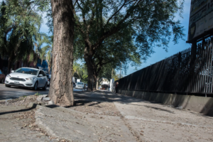 En la zona del ex Abasto iniciarán tareas de revalorización urbana