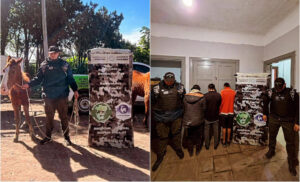 Persecución en Circunvalación: detuvieron a tres hombres y rescataron a dos caballos con graves signos de maltrato
