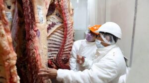 INFORME DE LA INDUSTRIA CÁRNICA Y EL IMPACTO EN EL BOLSILLO