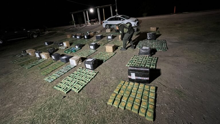 El olor los delató: Gendarmería secuestró más de 300 kilos de hojas de coca en un control sobre la Ruta 34