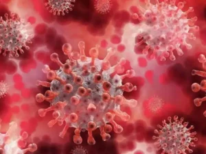 Argentina confirmó los primeros casos de la variante BA.3.2 del virus del COVID