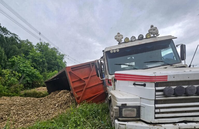 Vuelco en la Ruta 38: el acoplado de un camión tumbó a la altura de Famaillá y generó tensión en la traza