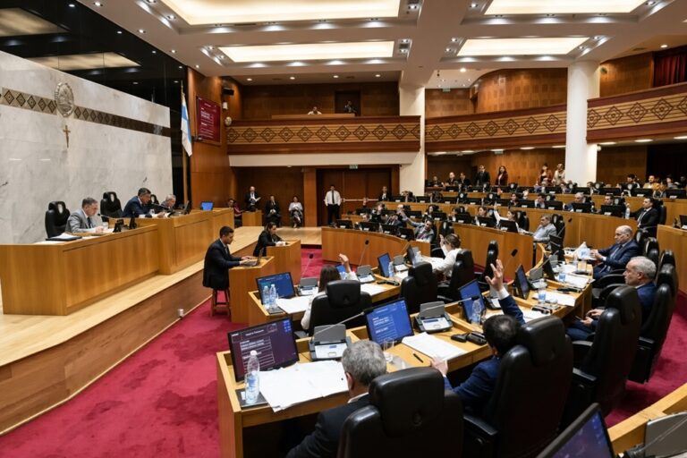 Tucumán se convirtió en la primera provincia en aprobar el régimen penal juvenil tras un debate con un solo voto en contra