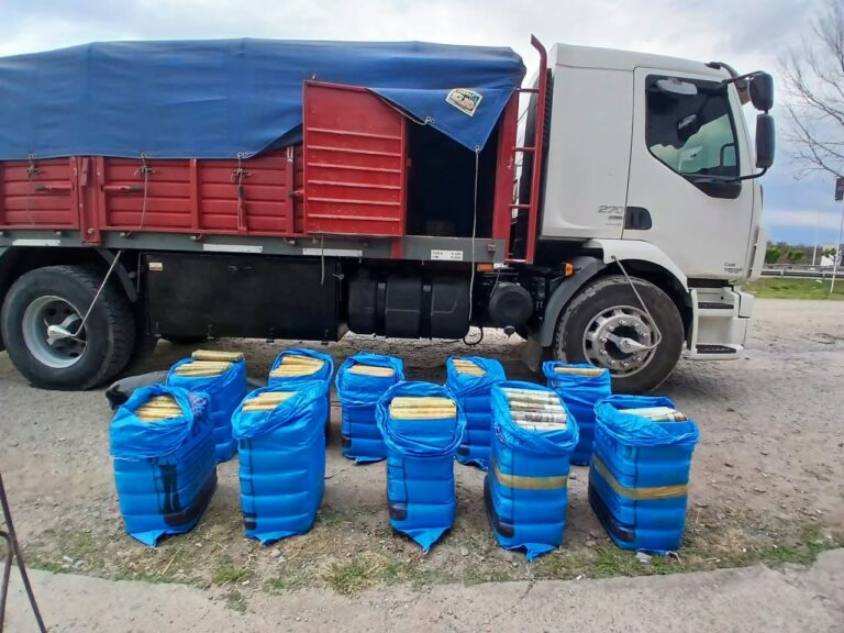 Quiso ingresar a Tucumán en un camión “vacío”, pero el escáner de Gendarmería descubrió un cargamento millonario de hojas de coca