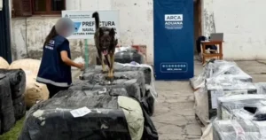Operativo federal en la ruta 9: incautaron encomiendas por $400 millones en un camión rumbo a Buenos Aires